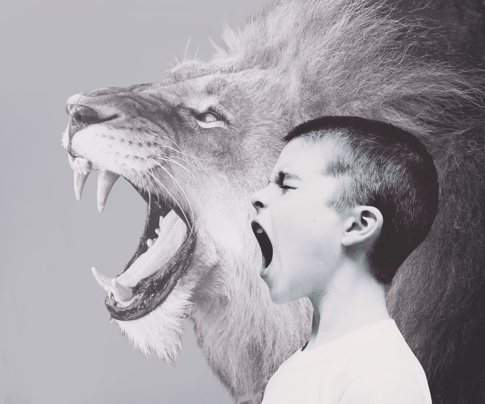 Enfant et lion rugissant