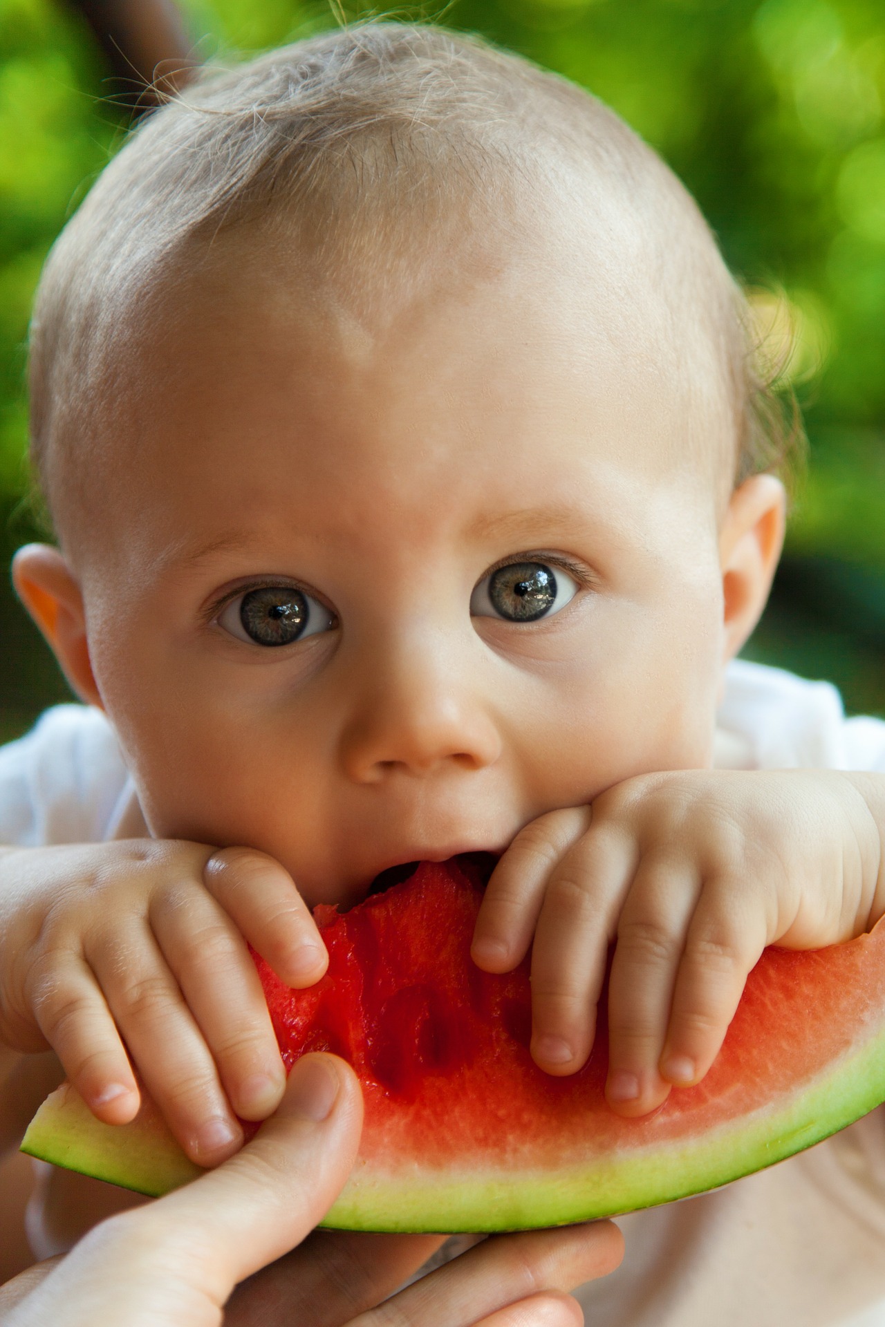Bébé qui mange une pastèque